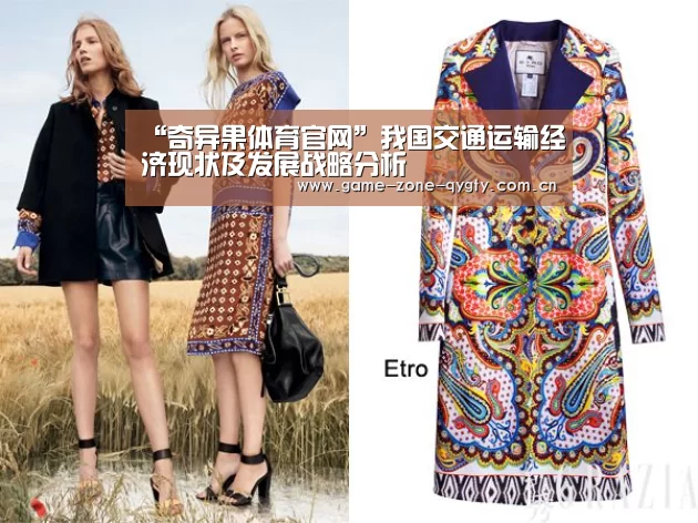 “奇异果体育官网”我国交通运输经济现状及发展战略分析(图4) 奇异果体育app