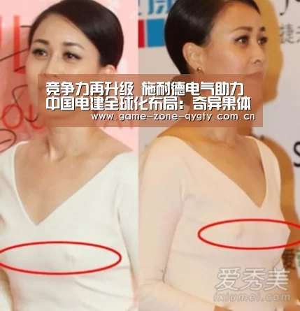 竞争力再升级 施耐德电气助力中国电建全球化布局:奇异果体育app(图2) 奇异果体育官网