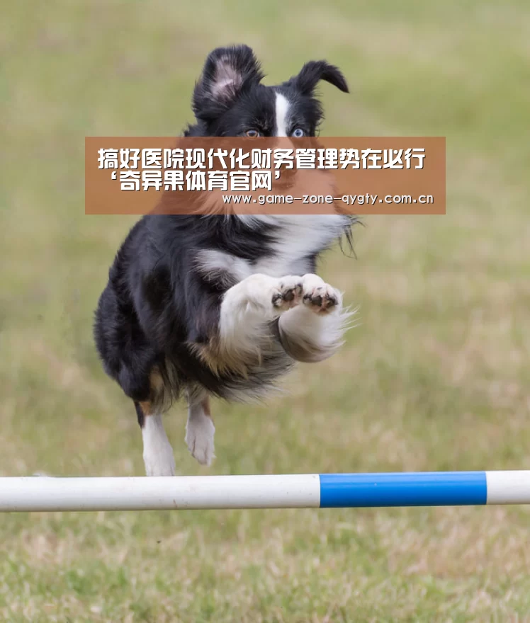 搞好医院现代化财务管理势在必行‘奇异果体育官网’(图2) 奇异果体育官网