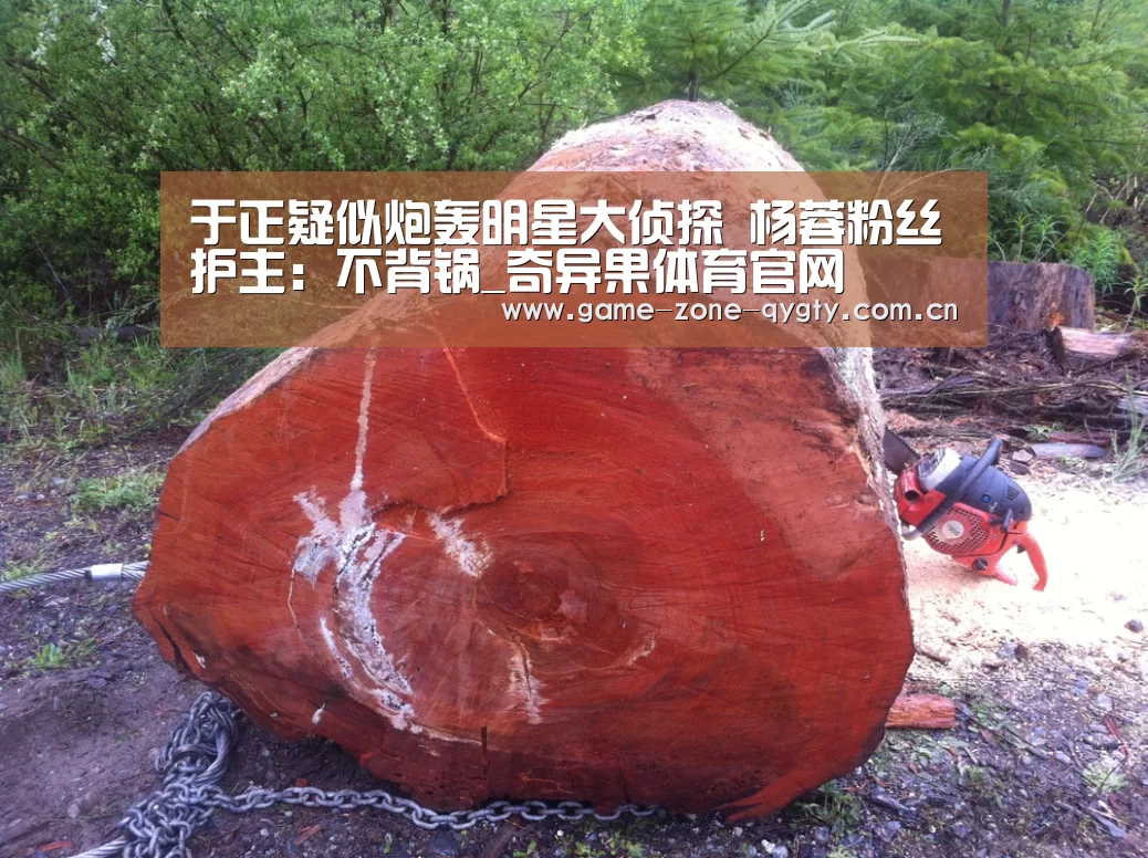 于正疑似炮轰明星大侦探 杨蓉粉丝护主:不背锅_奇异果体育官网(图1) 奇异果体育app